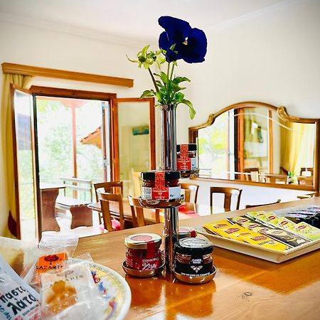 Villa Evita Corfu Dassia  Zewnętrze zdjęcie