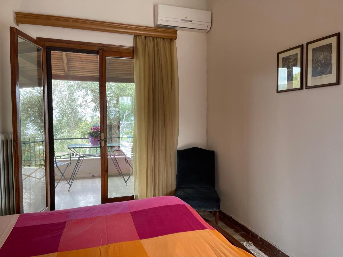 Villa Evita Corfu Dassia  Zewnętrze zdjęcie